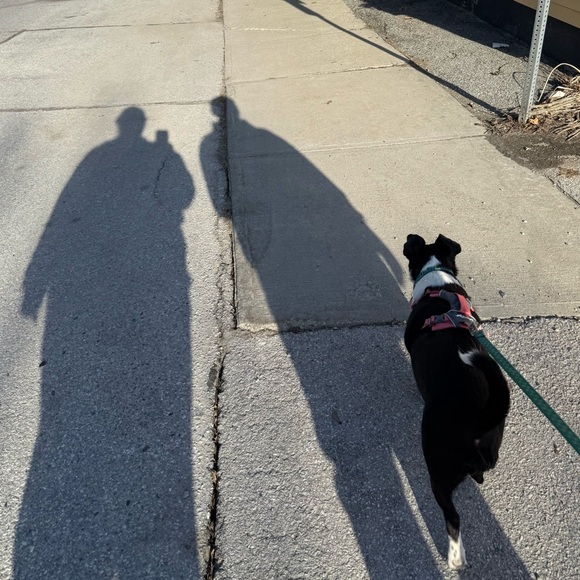 Meet your Posher, JK! - Picture 4 of 5